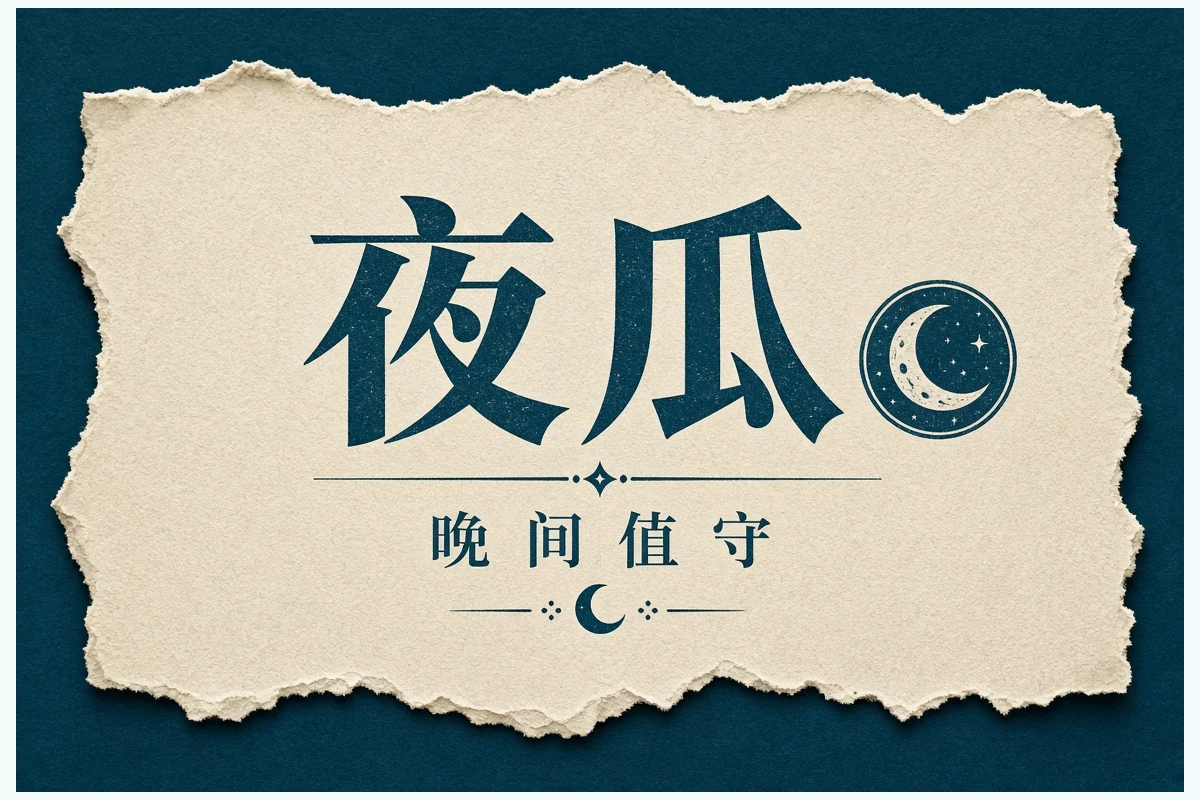 夜间内容汇总